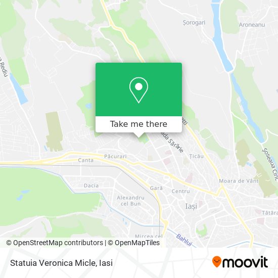 Statuia Veronica Micle map