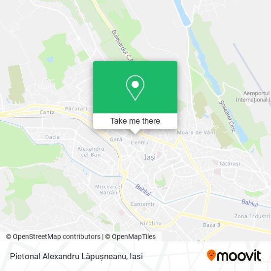 Pietonal Alexandru Lăpușneanu map
