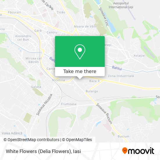 White Flowers (Delia Flowers) map