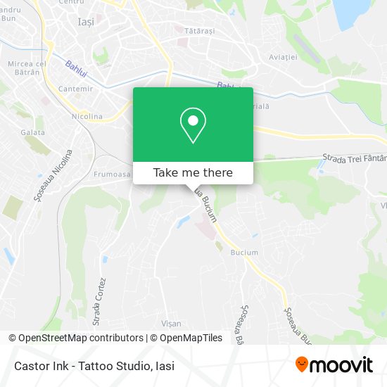Castor Ink - Tattoo Studio map