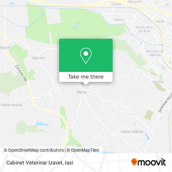 Cabinet Veterinar Izavet map