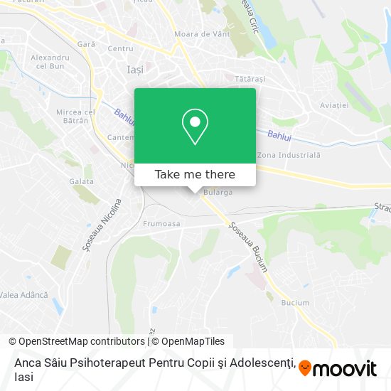 Anca Sâiu Psihoterapeut Pentru Copii şi Adolescenţi map