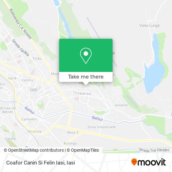 Coafor Canin Si Felin Iasi map