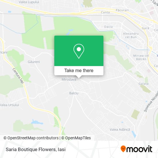 Saria Boutique Flowers map