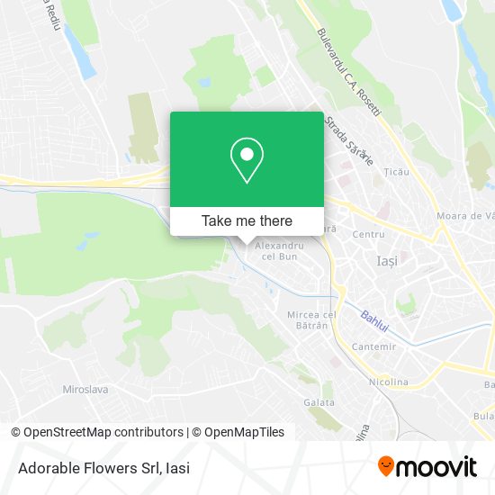 Adorable Flowers Srl map