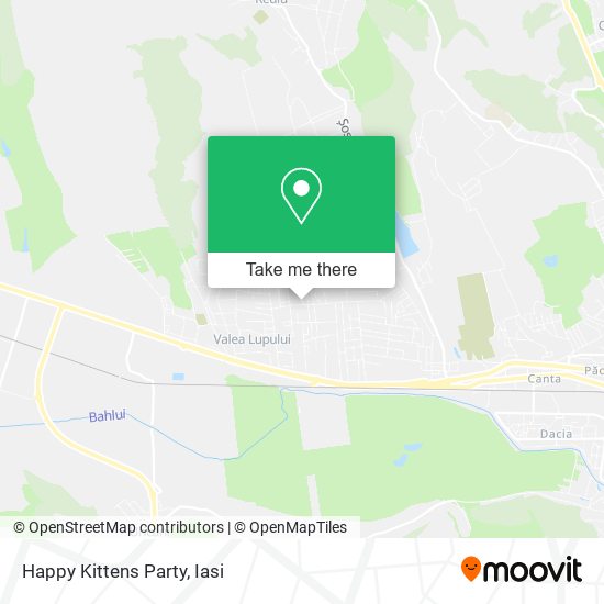 Happy Kittens Party map