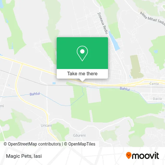 Magic Pets map