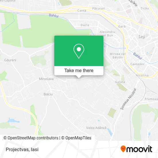 Projectvas map
