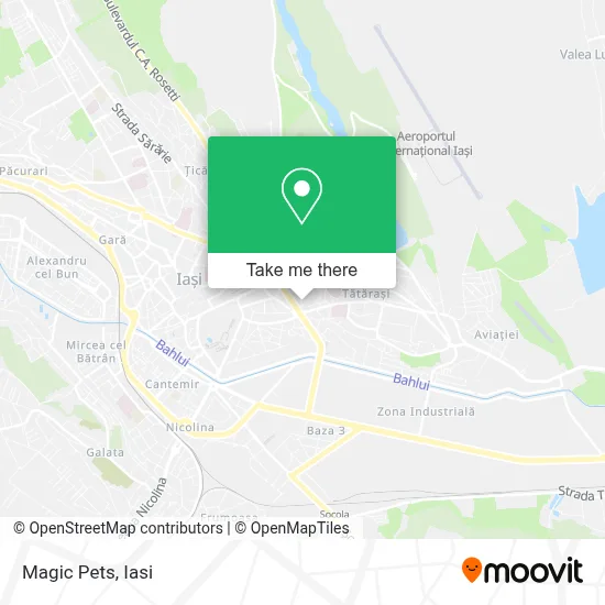 Magic Pets map