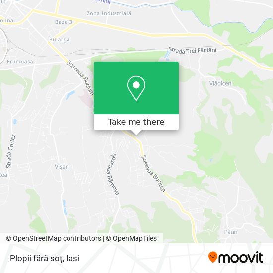 Plopii fără soţ map