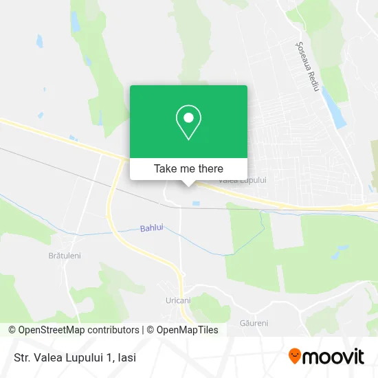 Str. Valea Lupului 1 map