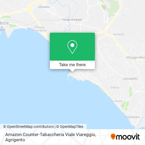 Amazon Counter-Tabaccheria Viale Viareggio map