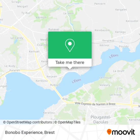 Bonobo Experience map