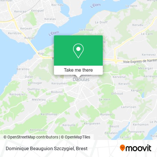 Dominique Beauguion Szczygiel map