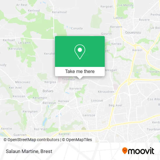 Salaun Martine map