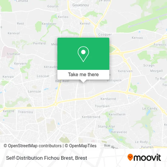 Self-Distribution Fichou Brest map