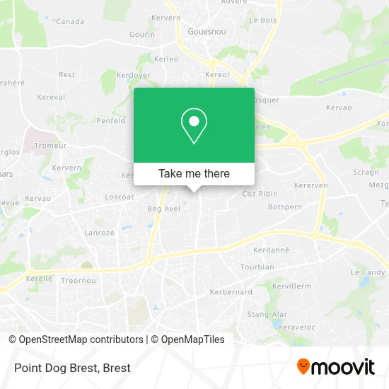 Point Dog Brest map