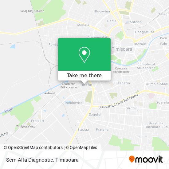 Scm Alfa Diagnostic map