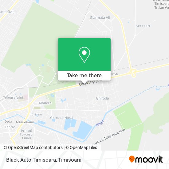 Black Auto Timisoara map