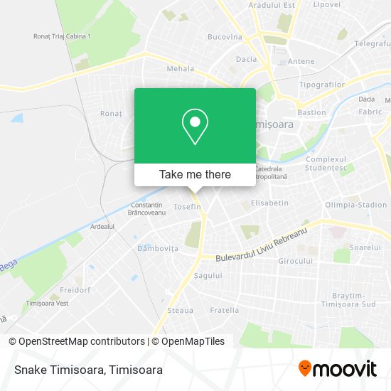 Snake Timisoara map