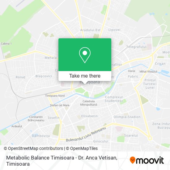 Metabolic Balance Timisoara - Dr. Anca Vetisan map