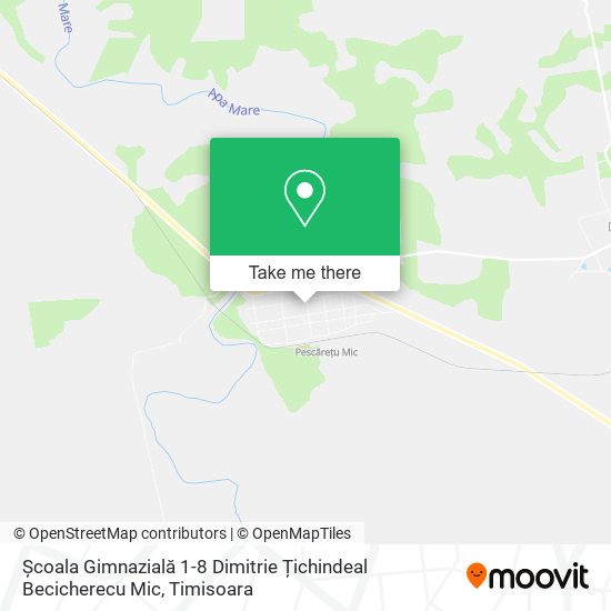 Școala Gimnazială 1-8 Dimitrie Țichindeal Becicherecu Mic map