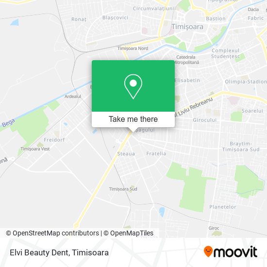 Elvi Beauty Dent map