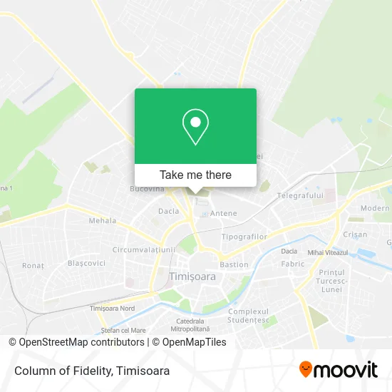 Column of Fidelity map
