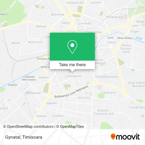 Gynatal map
