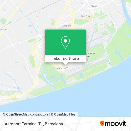 Aeroport Terminal T1 map