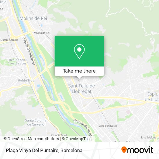 Plaça Vinya Del Puntaire map