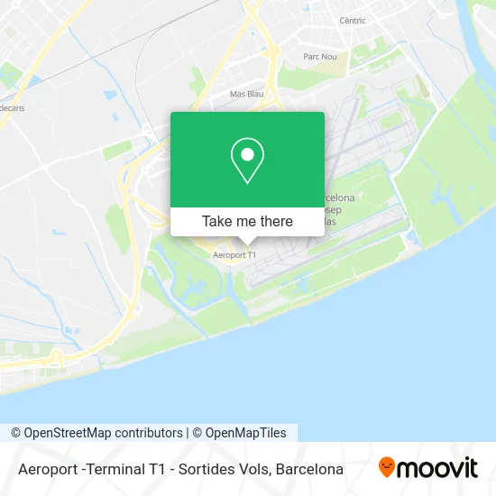 Aeroport -Terminal T1 - Sortides Vols map