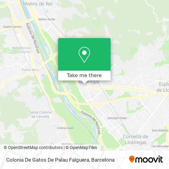 Colonia De Gatos De Palau Falguera map