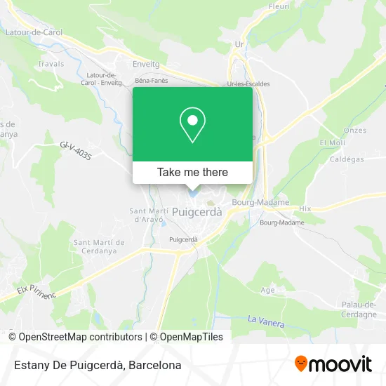 Estany De Puigcerdà map