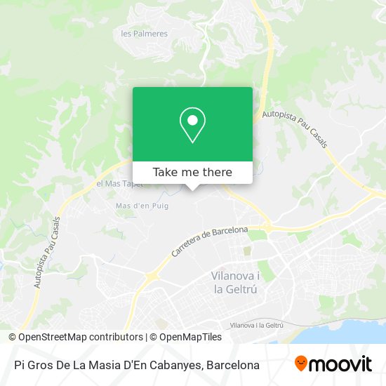 Pi Gros De La Masia D'En Cabanyes map