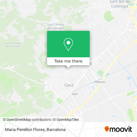 Maria Perellon Flores map