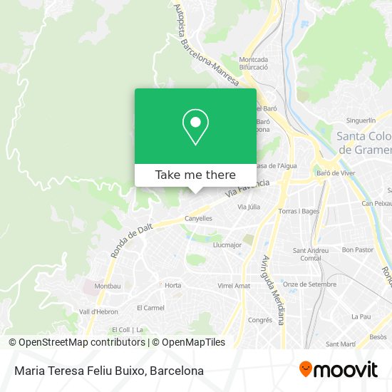 Maria Teresa Feliu Buixo map
