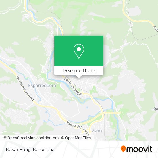 Basar Rong map