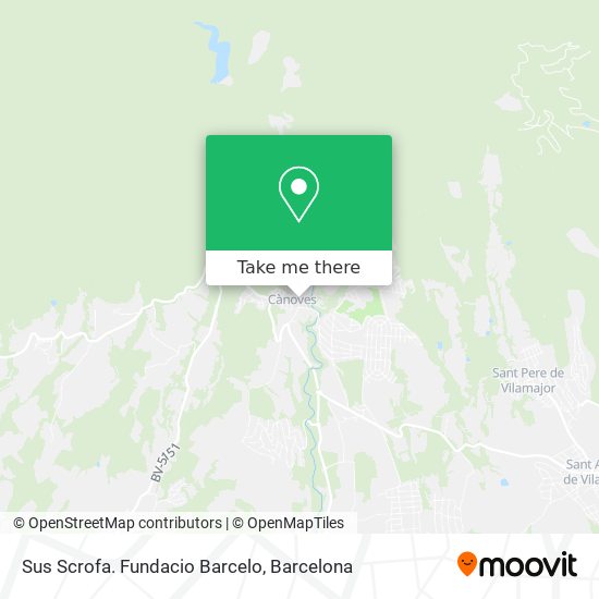 Sus Scrofa. Fundacio Barcelo map