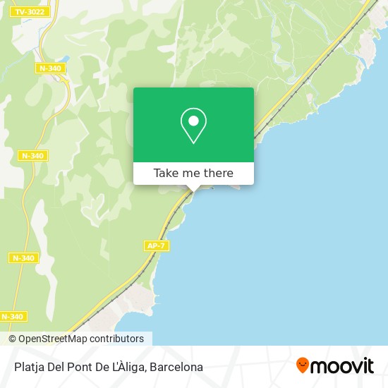 Platja De La Punta De L'Àliga map