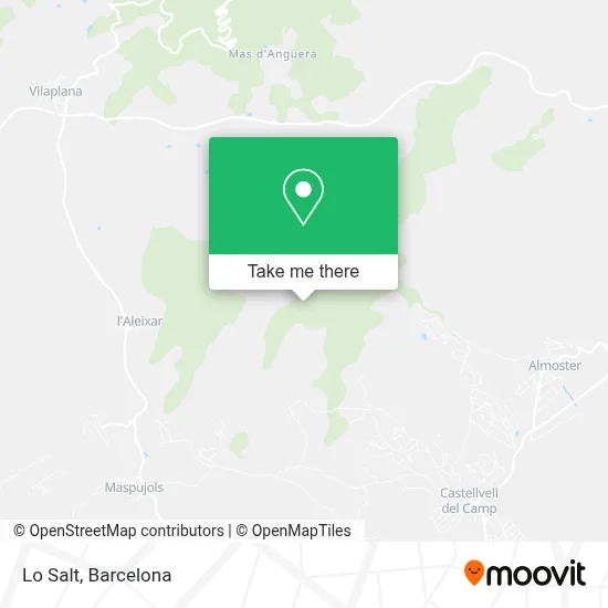 El Salt map