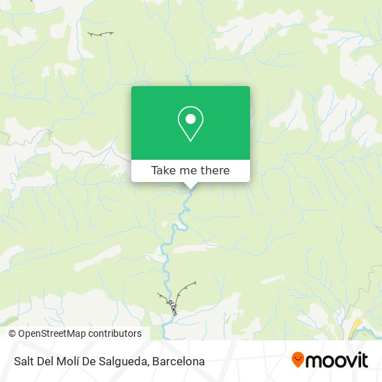 Salt Del Molí De Salgueda map