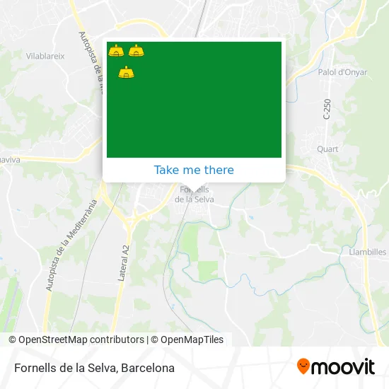 Fornells de la Selva map