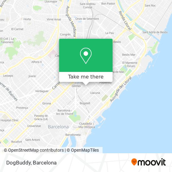 DogBuddy map