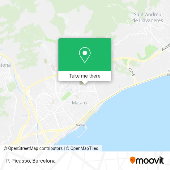 P. Picasso map