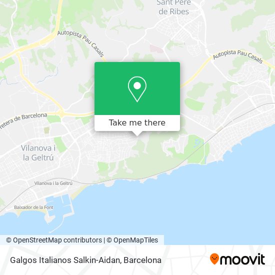 Galgos Italianos Salkin-Aidan map