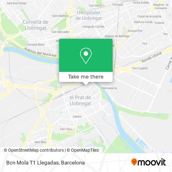 Bcn Mola T1 Llegadas map