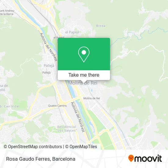 Rosa Gaudo Ferres map