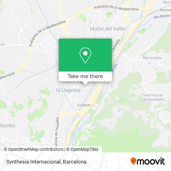 Synthesia Internacional map