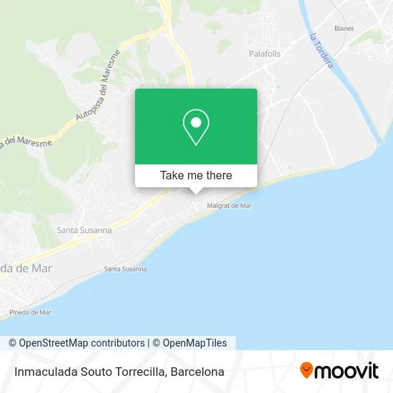 Inmaculada Souto Torrecilla map